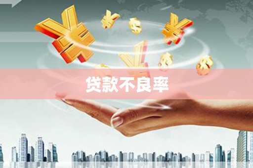 岢岚贷款不良率
